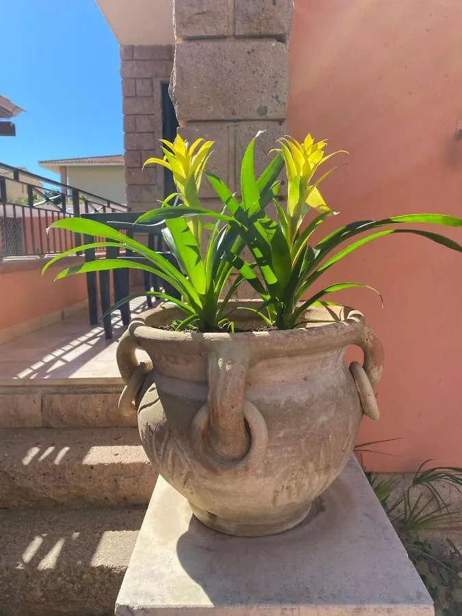 *** Bed & Breakfast Villa Marogna Alghero Italy
